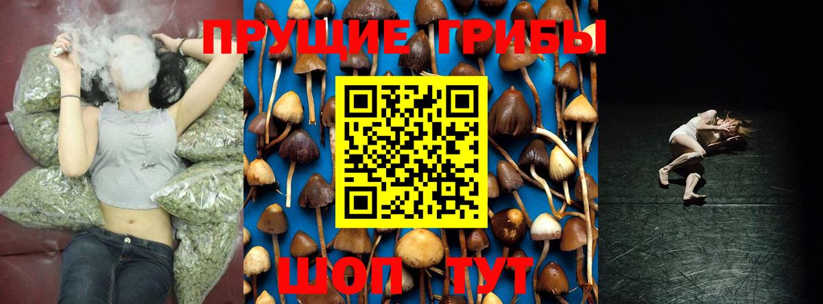 Галлюциногенные грибы прущие грибы  Вход с VPN  Галлюциногенные грибы GOLDEN TEACHER  Великий Новгород 